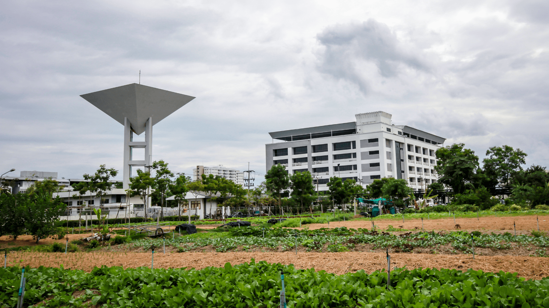 Bhaskar Enclave 1 & 2